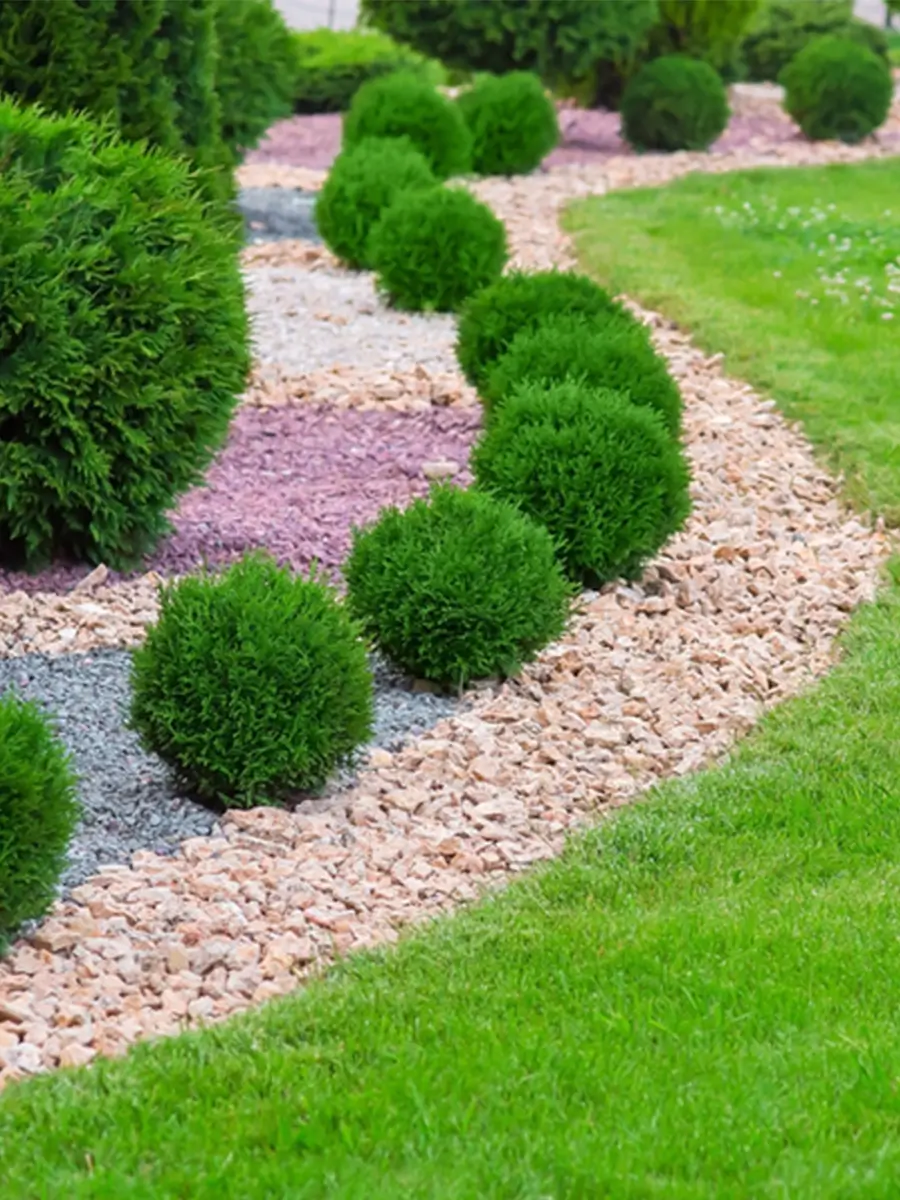 Landscape & Garden
