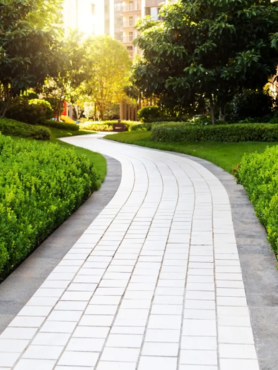 Pathways