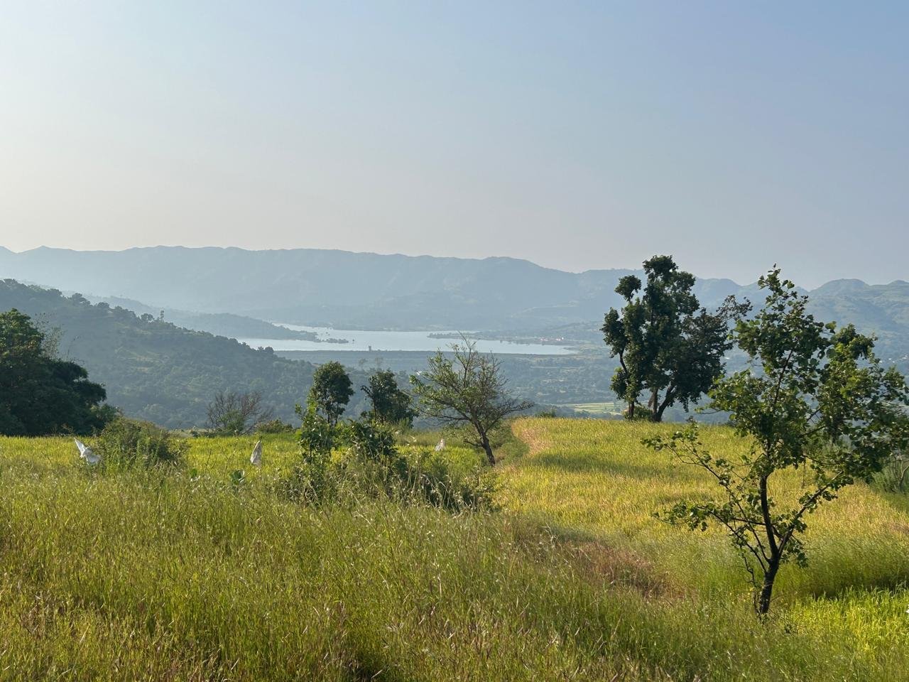 Legacy Land Real Image 1