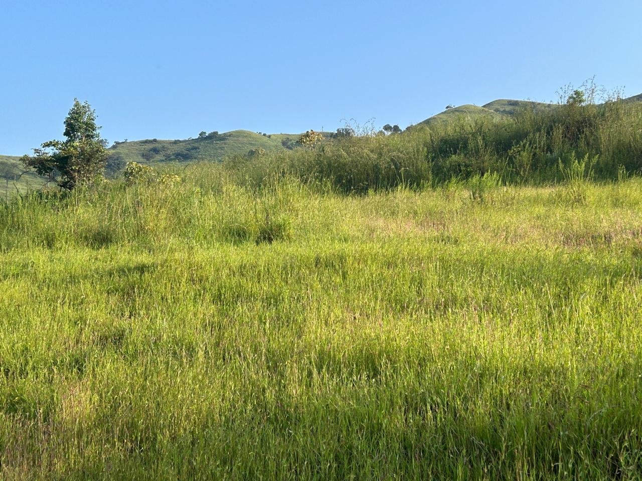 Legacy Land Real Image 2