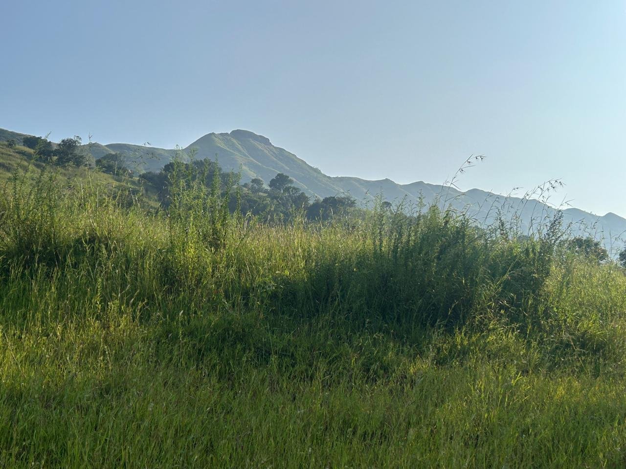 Legacy Land Real Image 3